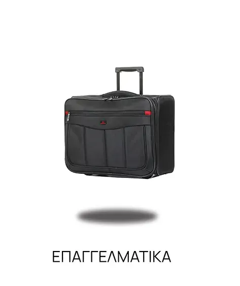 epaggelmatika