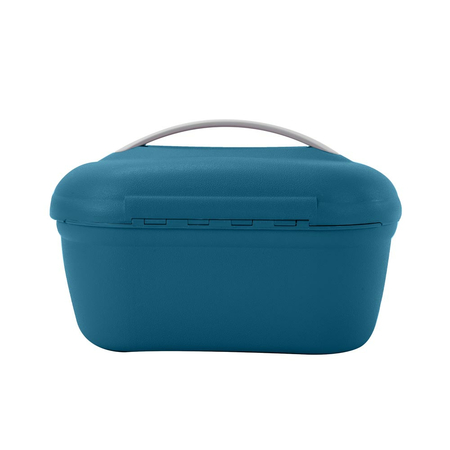 BEAUTY CASE AMBER ΠΕΤΡΌΛ AM1009